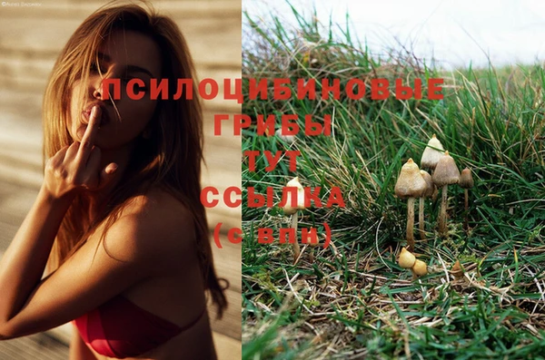 гашиш Алексин
